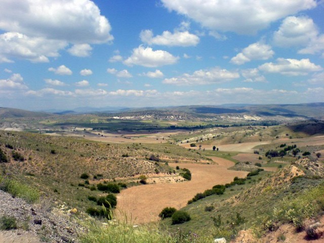 DSC00942